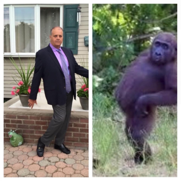 mjvallone
